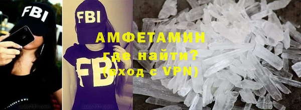 шишки Арсеньев