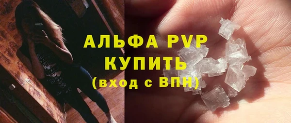 шишки Арсеньев