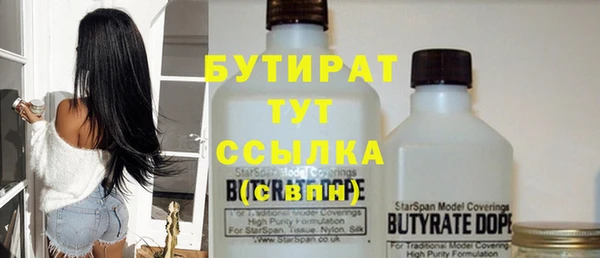 шишки Арсеньев