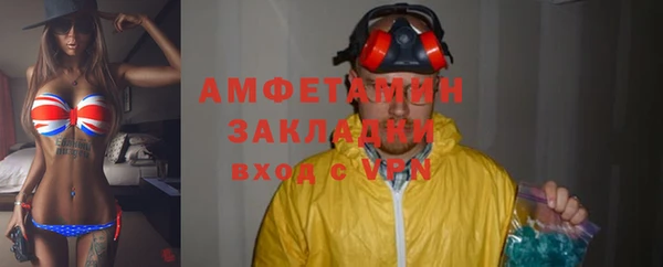 индика Алексин