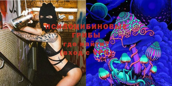 шишки Арсеньев