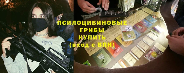 шишки Арсеньев