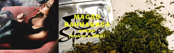 шишки Арсеньев
