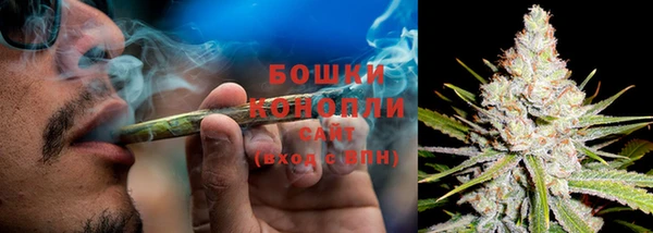 шишки Арсеньев
